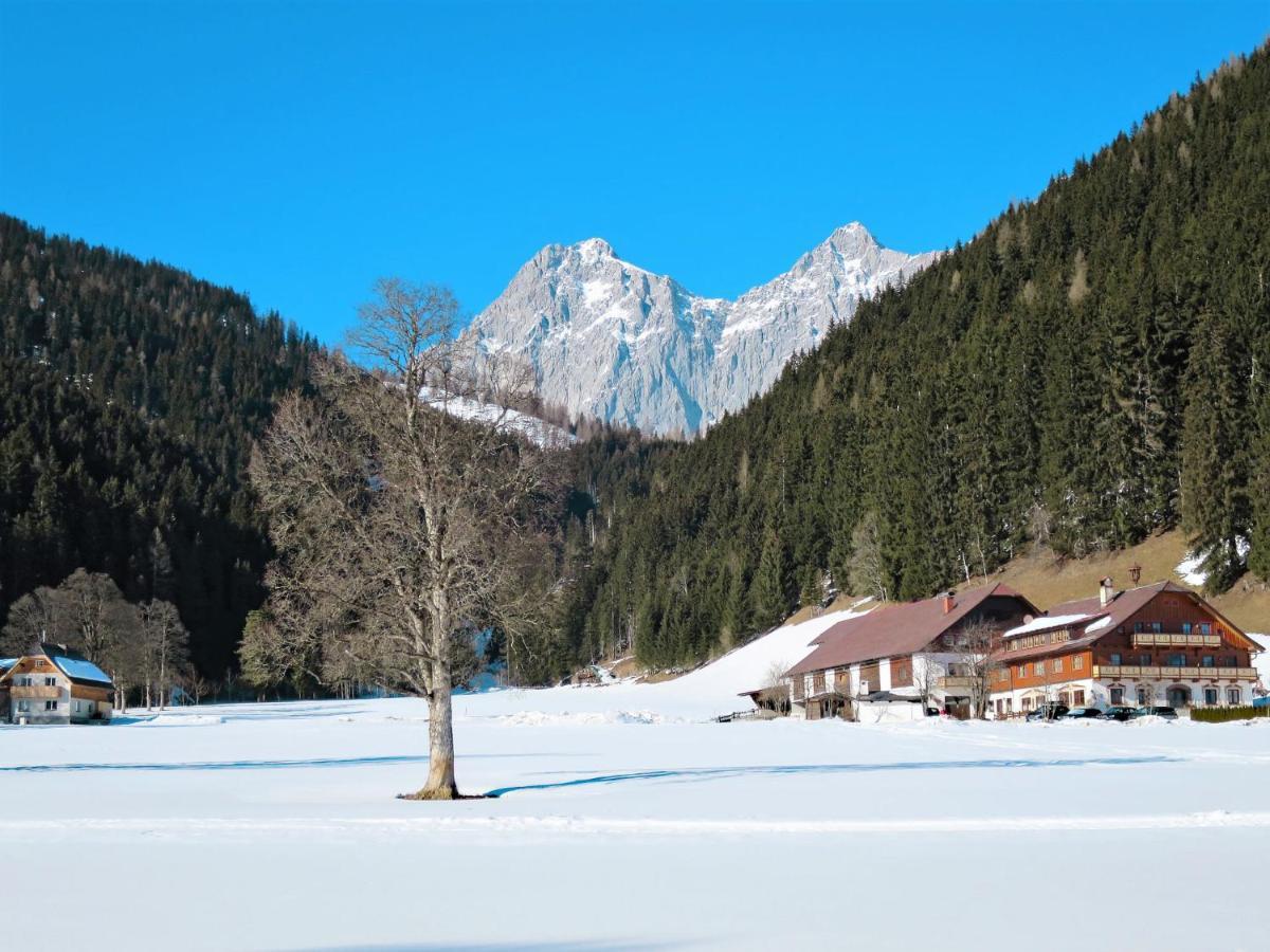 Apartment Annis Nest By Interhome Ramsau am Dachstein Luaran gambar
